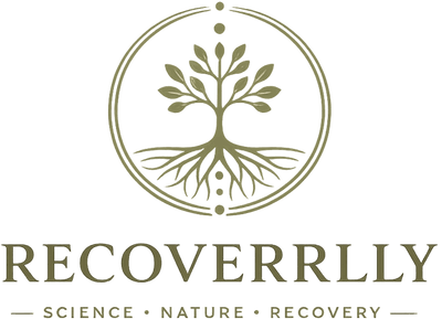 Providentia BV